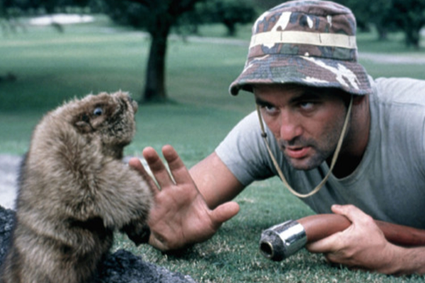 Why Ground Hog Day is a Lesson in Better Planning